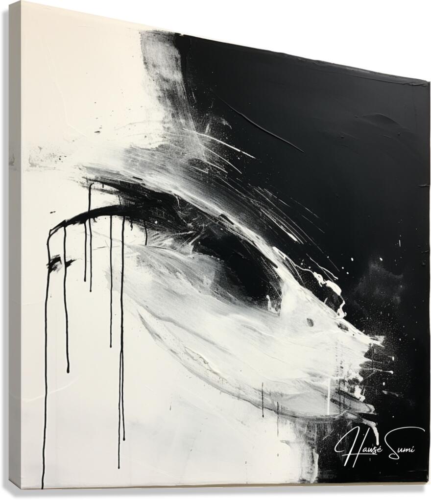 Void of Reflection Canvas Print