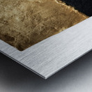 Gilded Divide Metal print