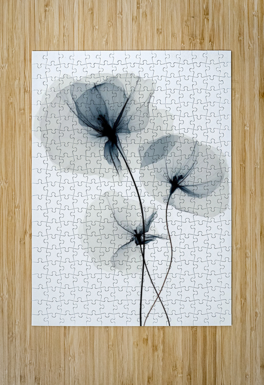 Whispers of Silk Hawse Sumi Puzzle printing