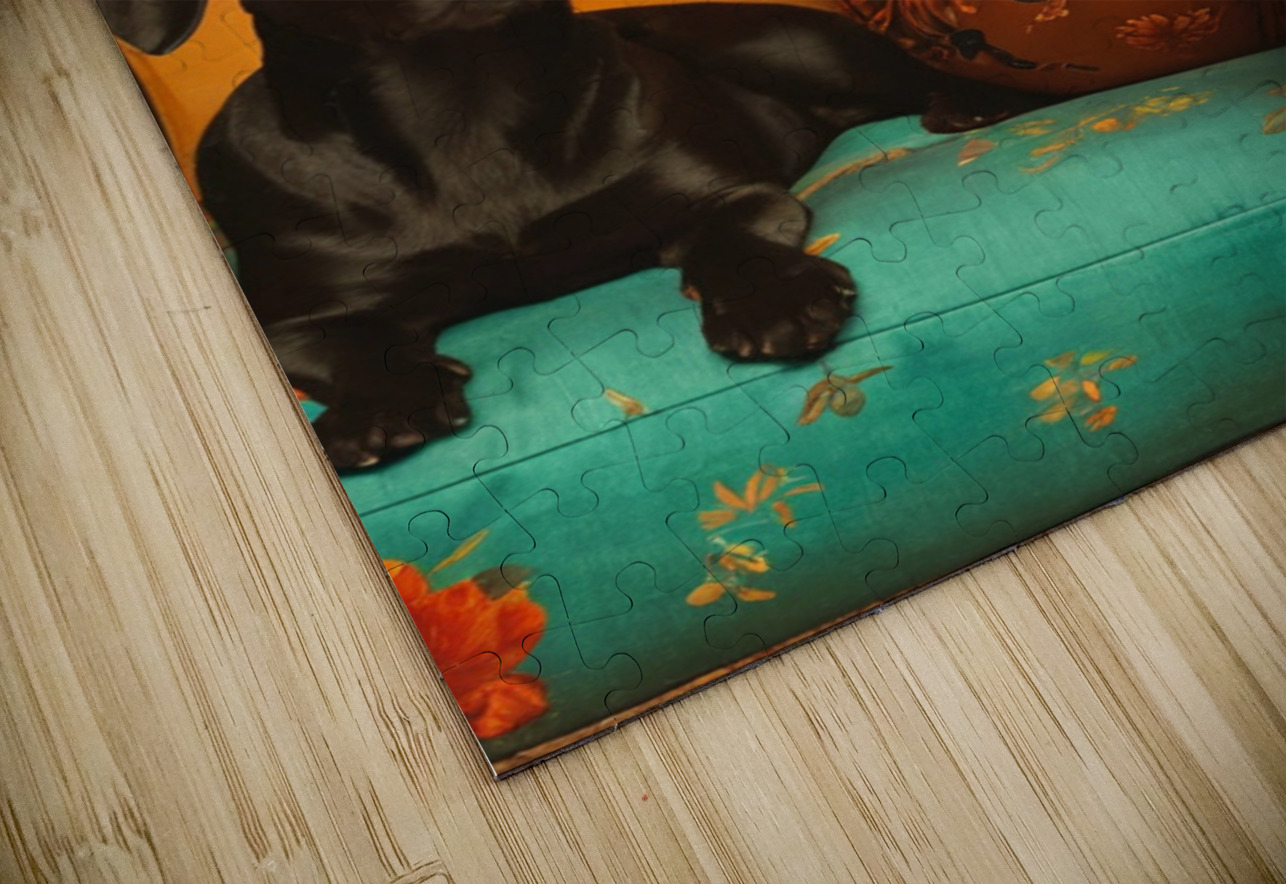 Golden Throne Hawse Sumi Puzzle