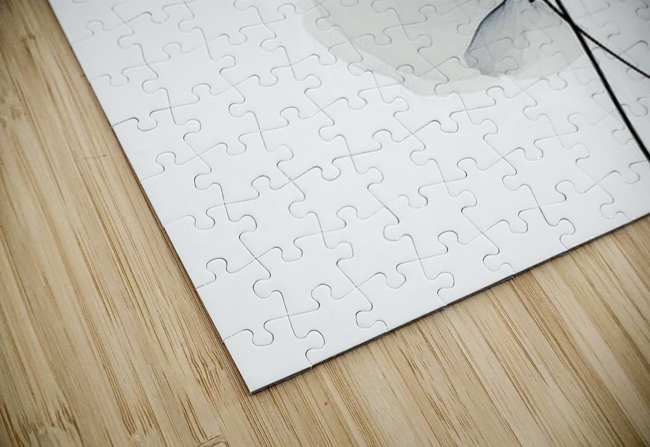 Whispers of Silk Hawse Sumi Puzzle