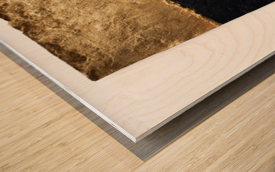 Gilded Divide Wood print